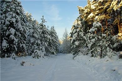 《战争传说》新DLC契约公布 特别好评开放世界SRPG