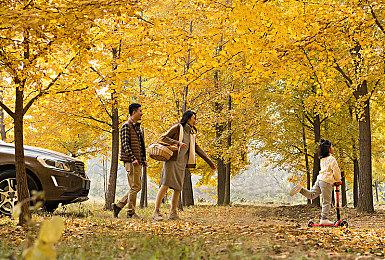 成绩不佳 LGD DOTA2战队将进行阵容调整